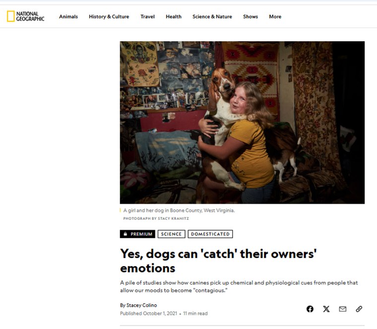 Matéria da National Geographic: Yes, dogs can catch their owners' emotions