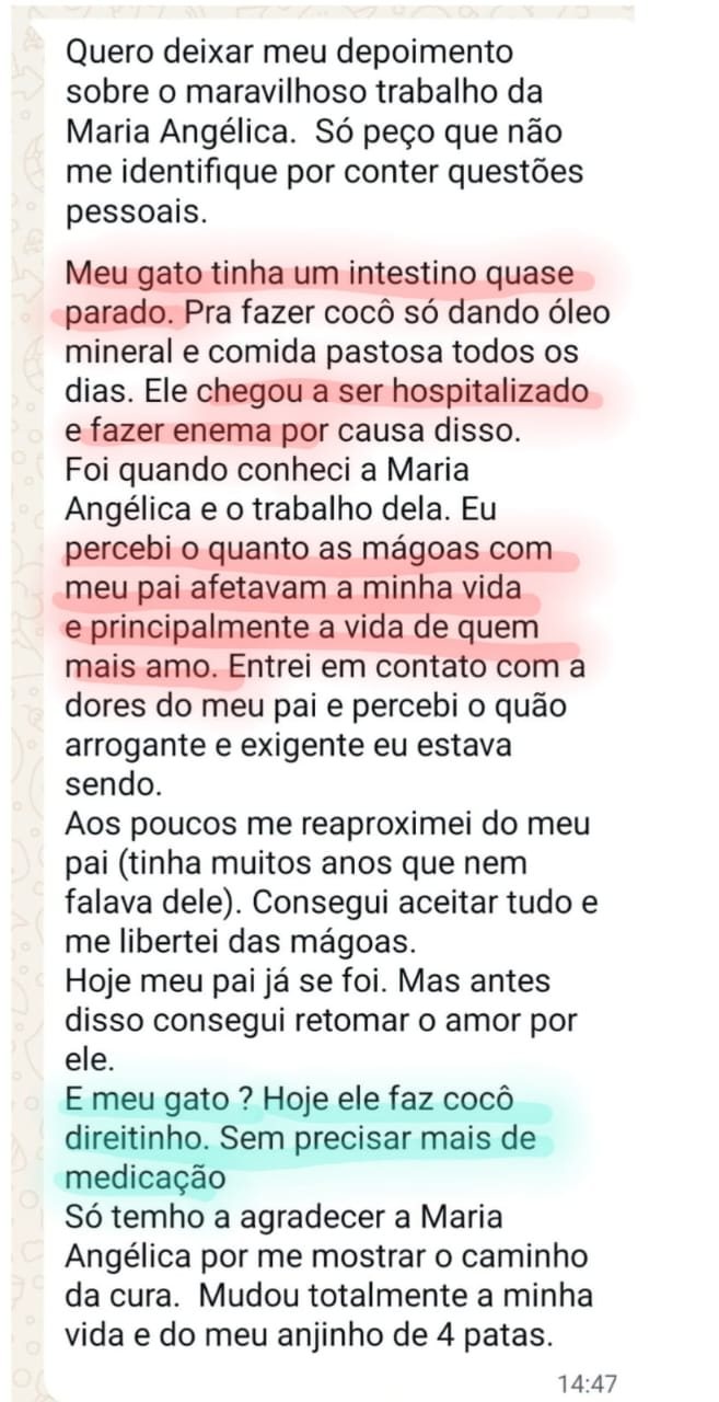 Captura de um depoimento anônimo: o gato tinha o intestino quase parado e chegou a ser hospitalizado; ao cuidar das próprias mágoas, a tutora viu o animal voltar a funcionar sozinho, sem medicação.