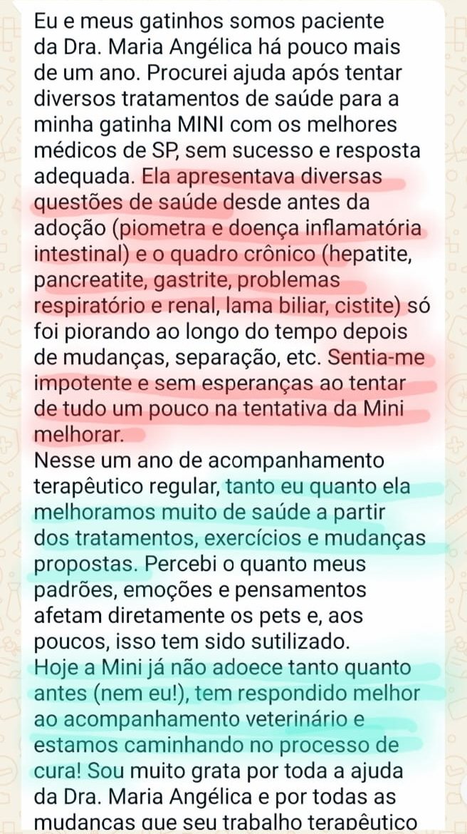 Captura do depoimento de Melissa Eckert, tutora da gata Mini: após um ano de acompanhamento terapêutico, a Mini superou um quadro crônico gravíssimo e ambas melhoraram muito de saúde, seguindo no processo de cura.